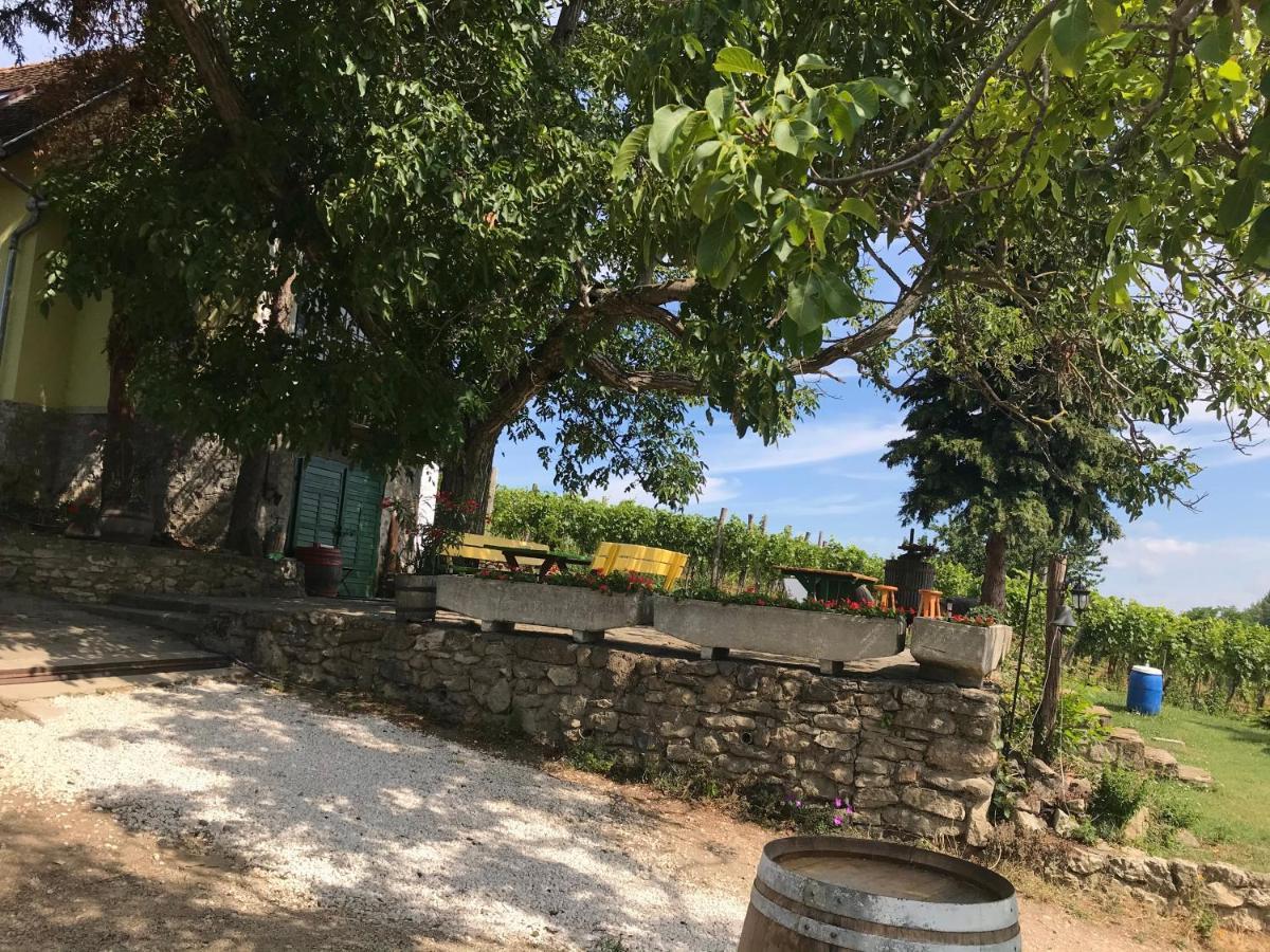 Guens Vendeghaz Hotel Szigliget Bagian luar foto